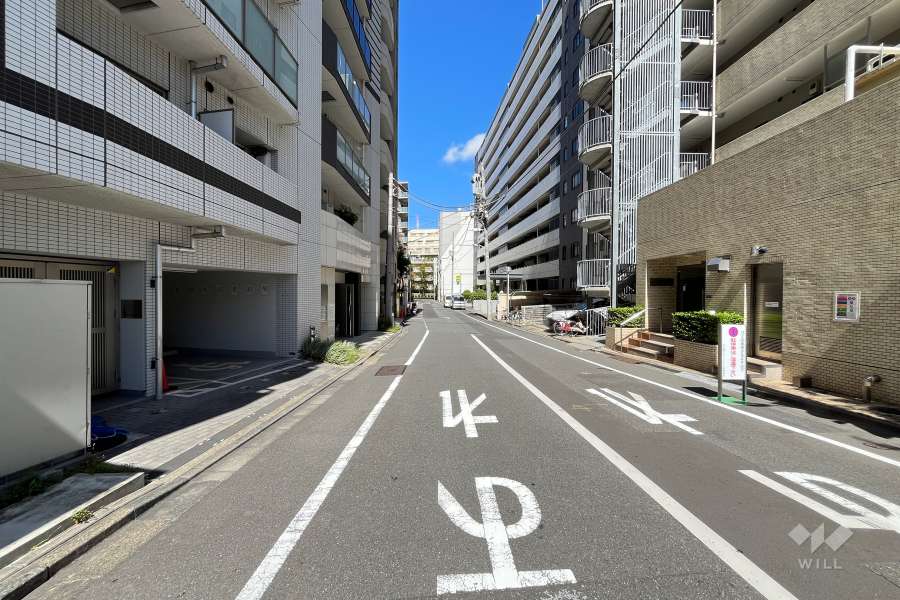 敷地の東側前面道路（南側から）
