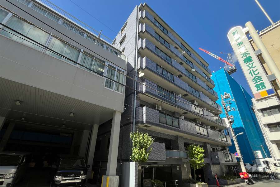 ハイツ日本橋中洲の外観（南側から）　