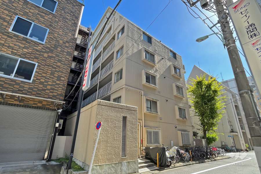 ハイツ日本橋中洲の外観（北側から）