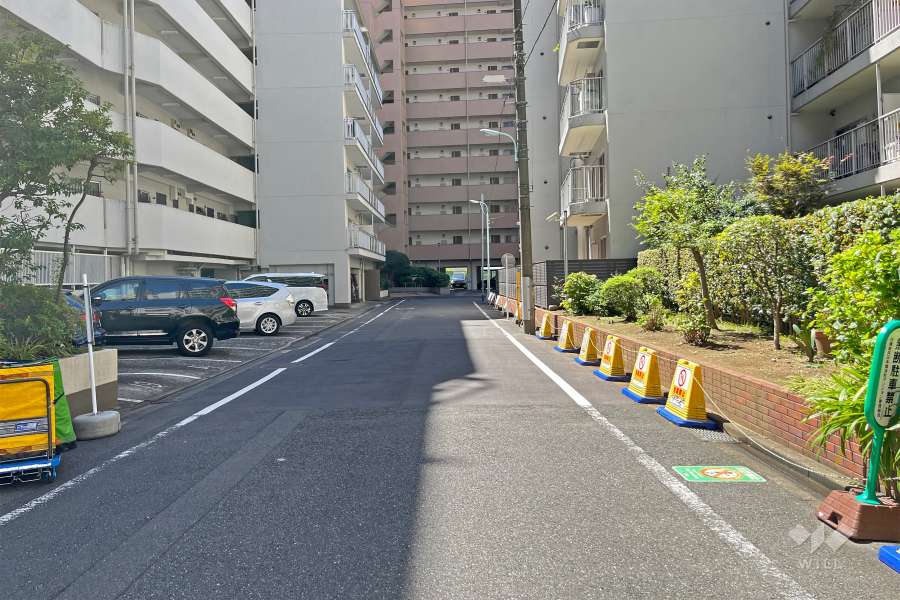 敷地の南側前面道路（東側から）