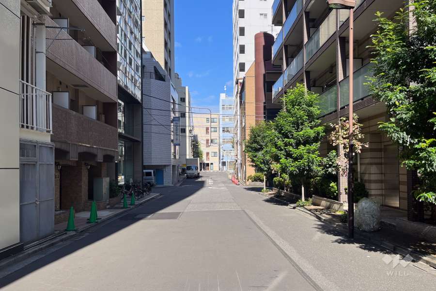 敷地の西側前面道路（南側から）