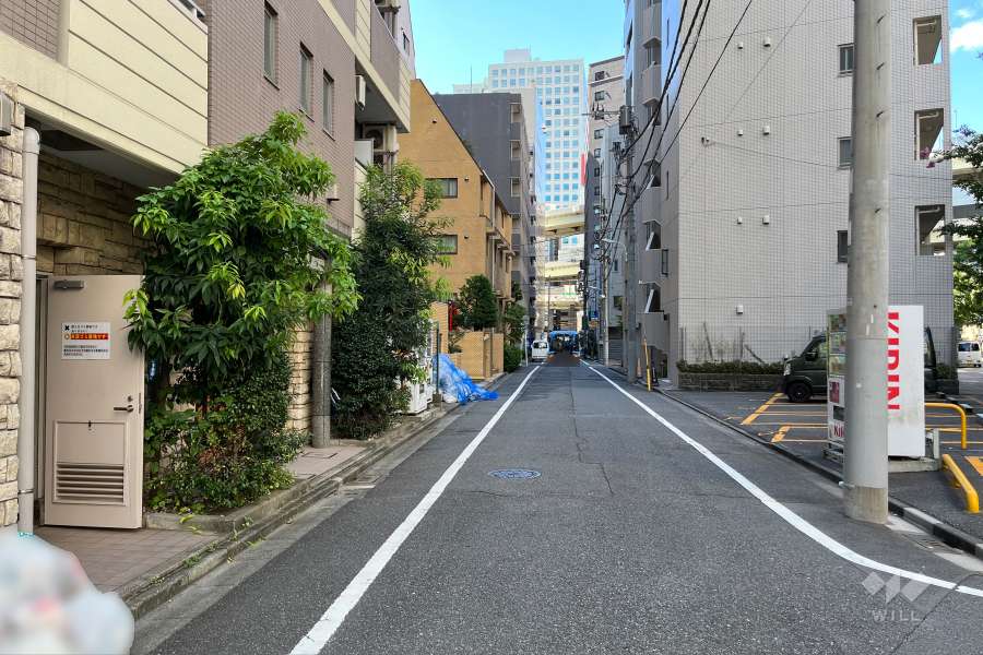 敷地の西側前面道路（北側から）