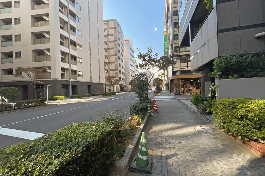 敷地南側の前面道路