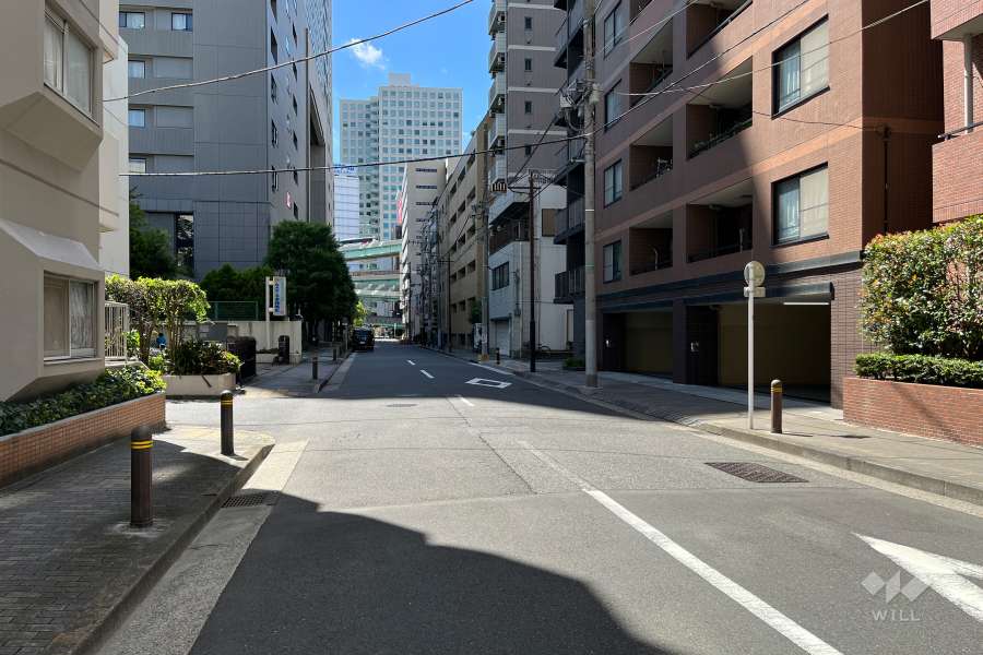 敷地の南側前面道路（東側から）