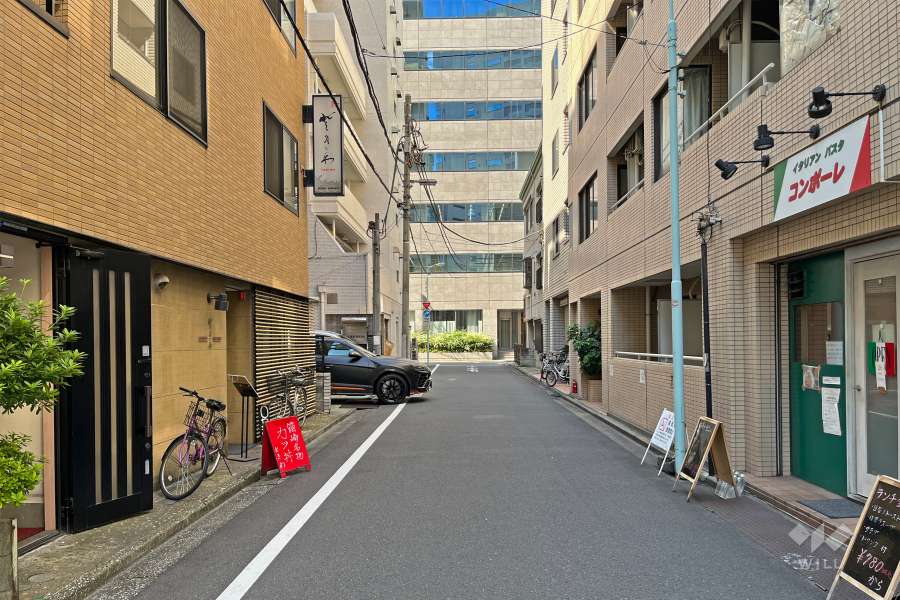 敷地の北東側前面道路（南東側から）