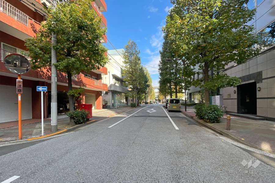 敷地南東側の前面道路　　