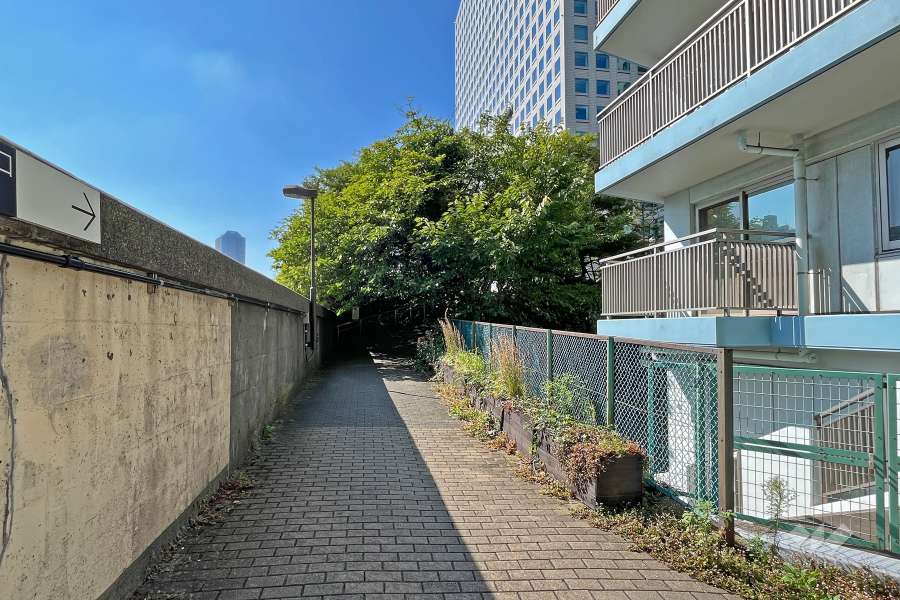 敷地の南側前面道路（東側から）