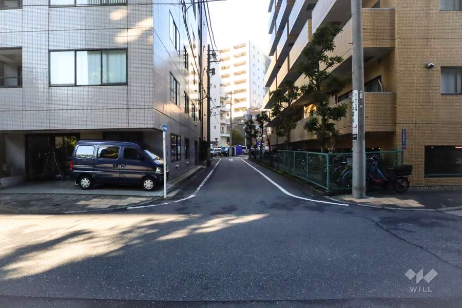 敷地南側の前面道路(東側から)