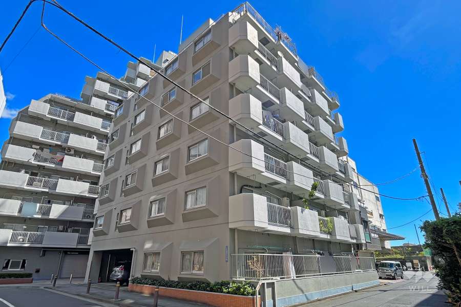 日本橋ニューシティダイヤモンドパレスＡ棟の外観（南西側から）