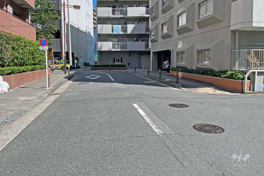 敷地の西側前面道路（南側から）
