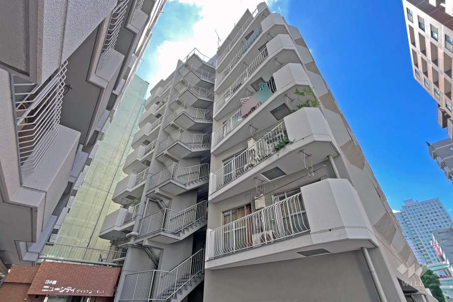 日本橋ニューシティダイヤモンドパレスＡ棟の外観（北側から）