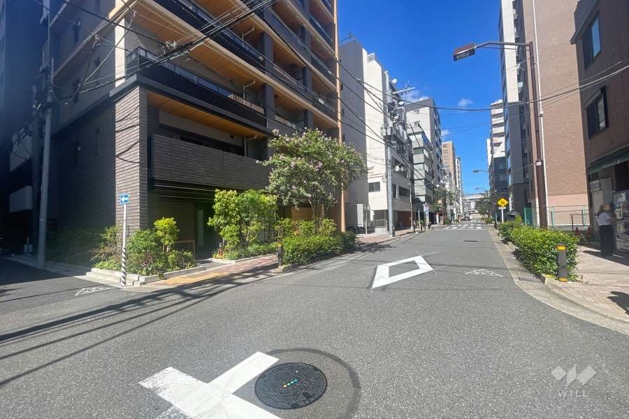 敷地南東側の前面道路　