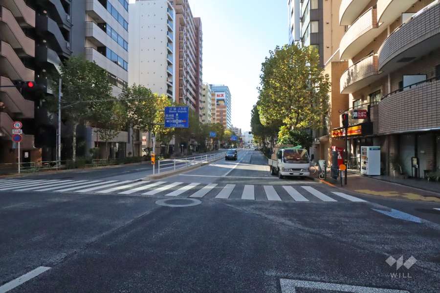 敷地の南東側前面道路(北東側から)