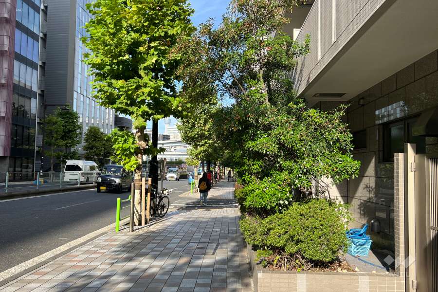 敷地の北西側前面道路（南西側から）