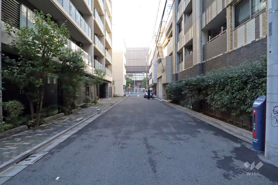 敷地南東側の前面道路(北東側から)