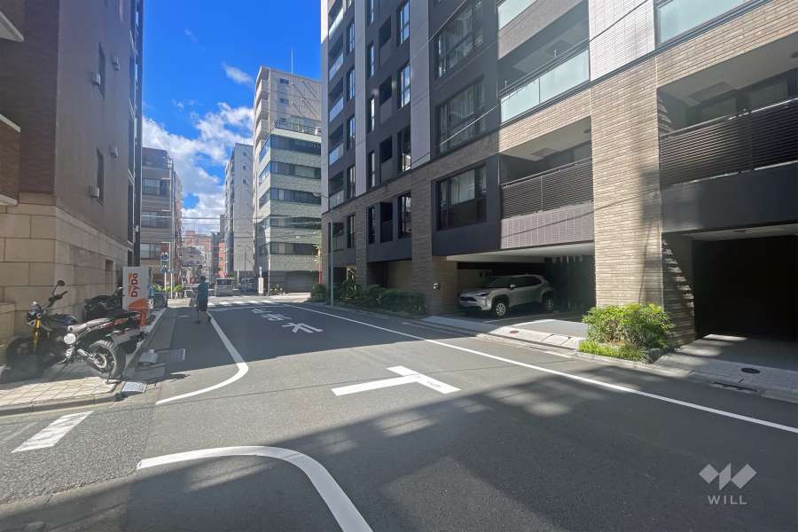 敷地の西側前面道路（南側から）