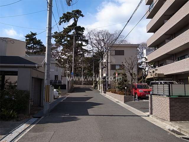 敷地南側の前面道路。すぐ西側には夙川が流れています。