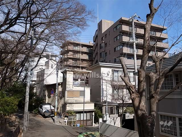 夙川オアシスロードから見た「藤和シティホームズ夙川さくら道」