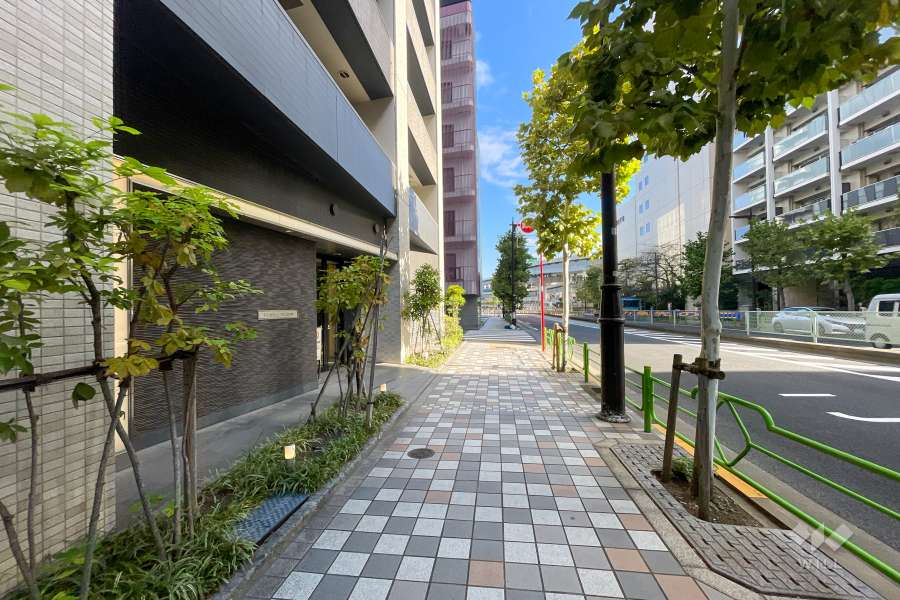 敷地南東側の前面道路　