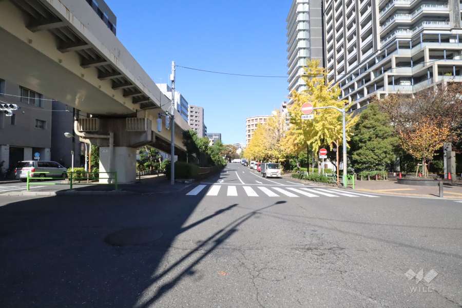 敷地南西側の前面道路