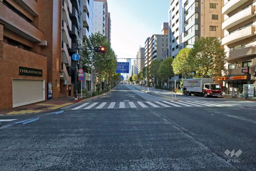 敷地北西側前面道路(南西側から)