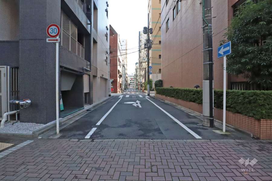 敷地北東側前面道路(北西側から)