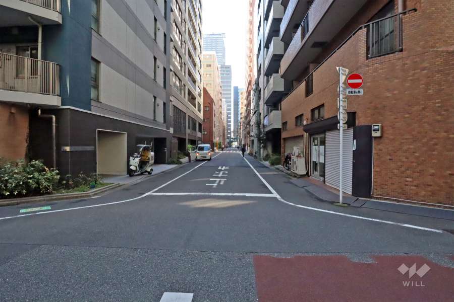 敷地南東側前面道路(北東側から)