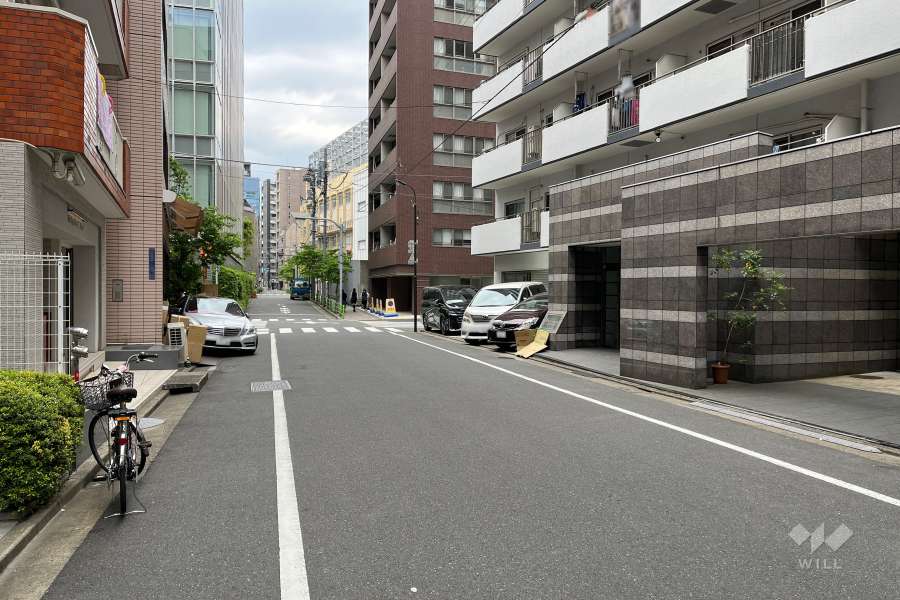 敷地の西側前面道路（南側から）