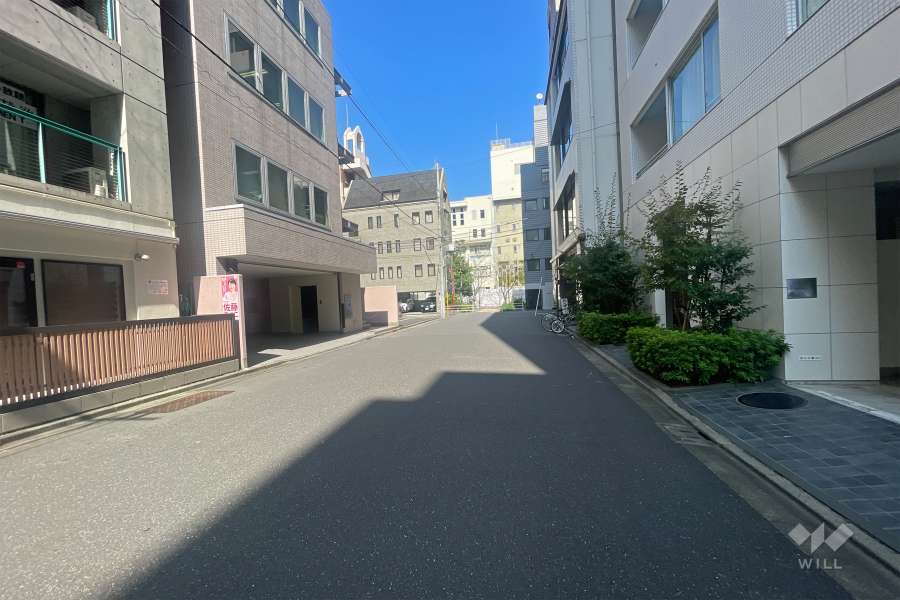 敷地南側の前面道路（西側から）