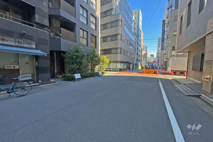 敷地の南東側前面道路（南西側から）
