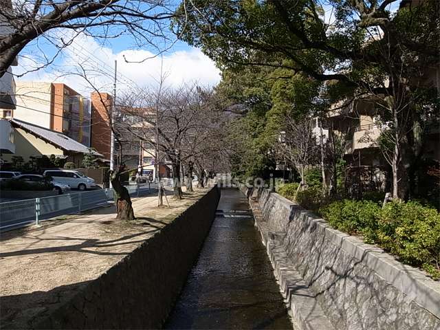 敷地の南側を中新田川が流れています。
