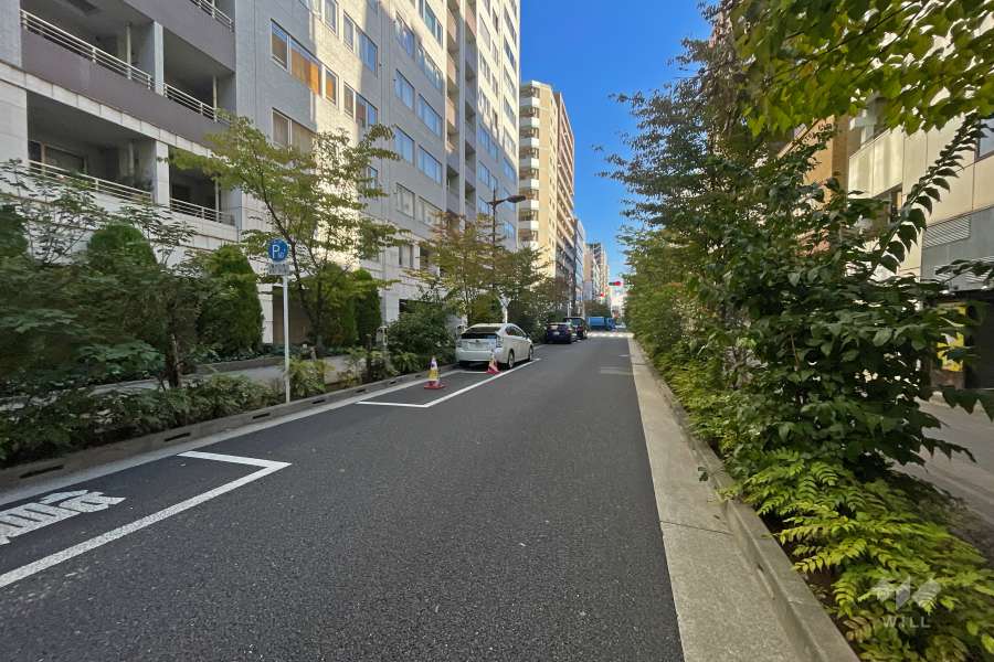 敷地南東側の前面道路（南西側から）