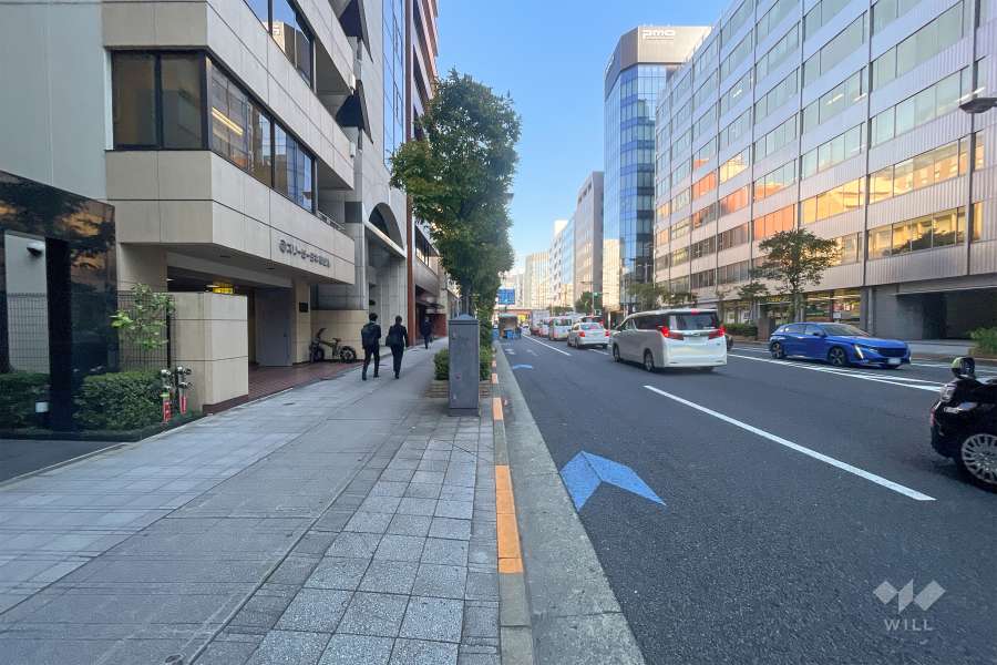 敷地南側の前面道路（西側から）