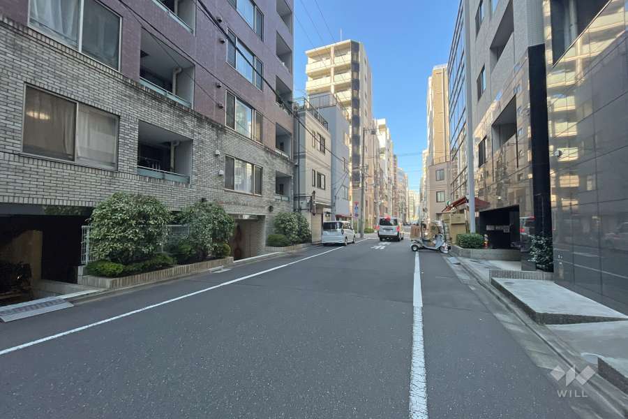 敷地の東側前面道路（南側から）