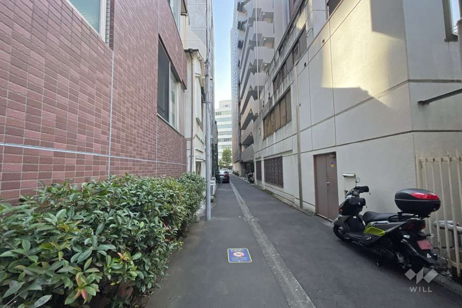 敷地の西側前面道路（北側から）