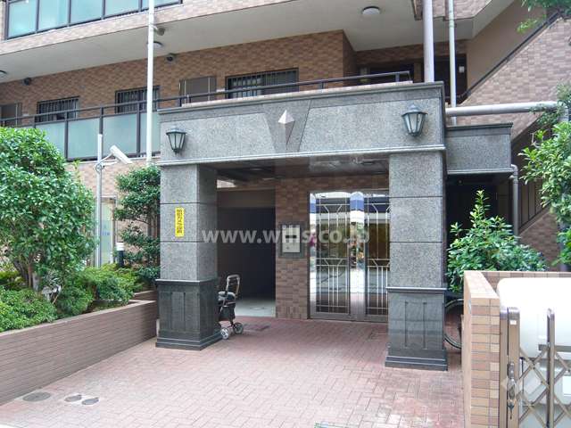 外観（南側から見る）