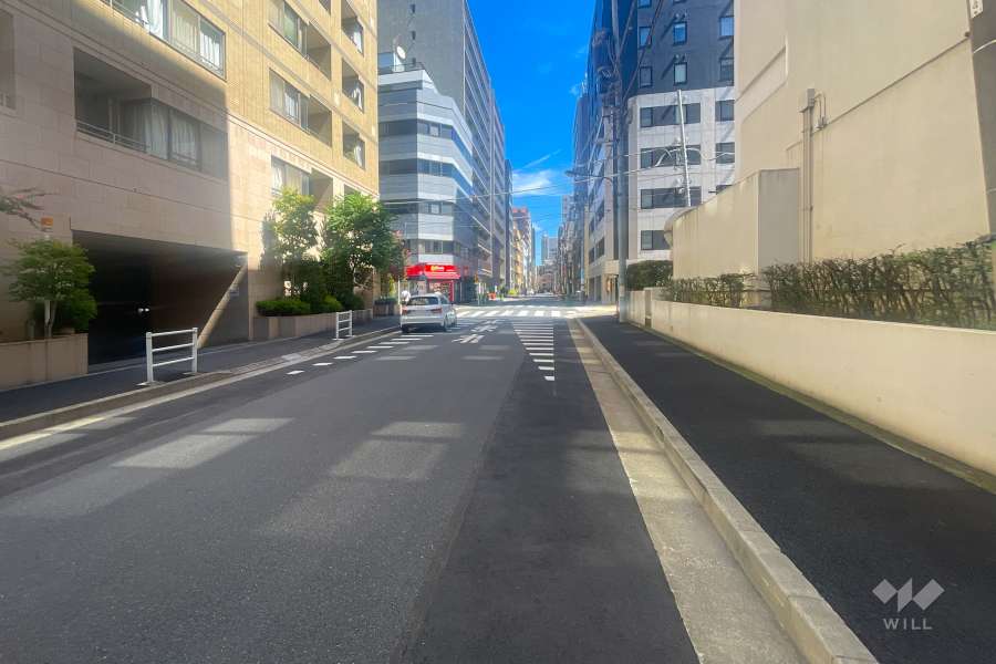 敷地の南側前面道路（西側から）