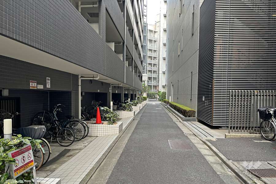 敷地の南側前面道路（西側から）