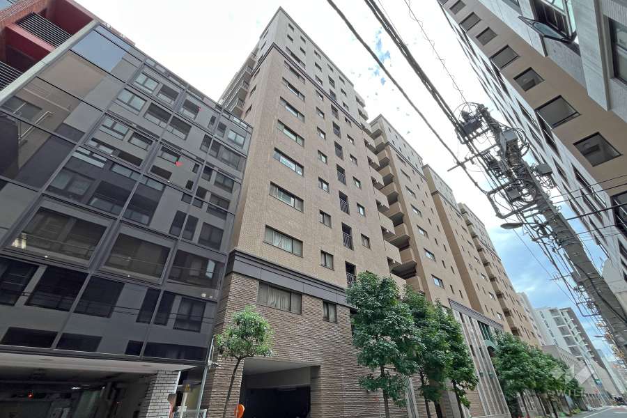 クイーンズパレス東京中央の外観（北東側から）