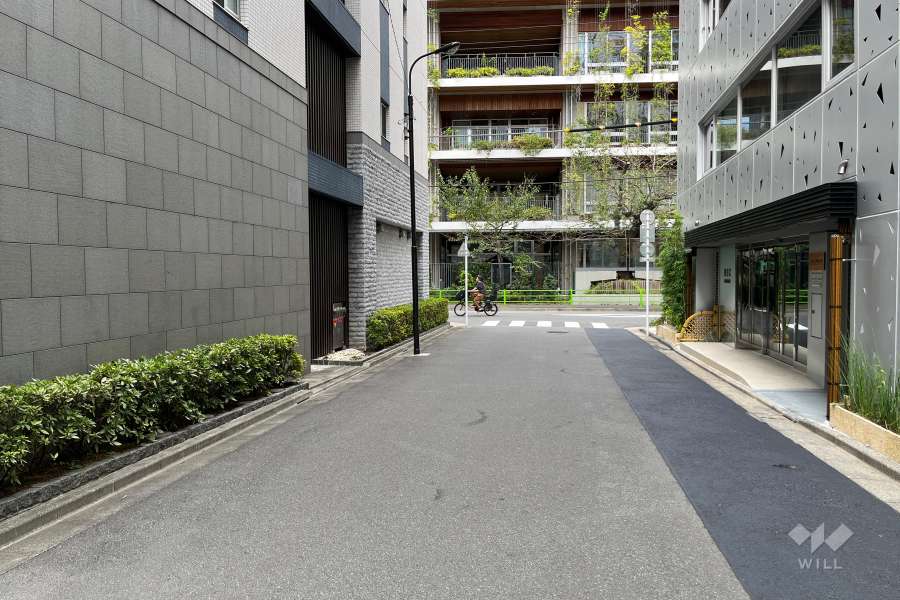 敷地の東側前面道路（南側から）