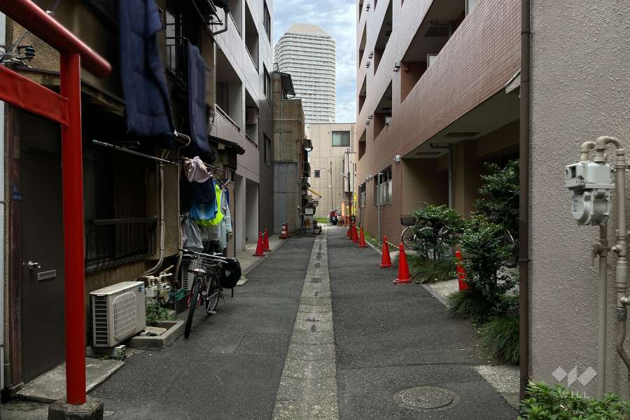 敷地の北側前面道路（西側から）