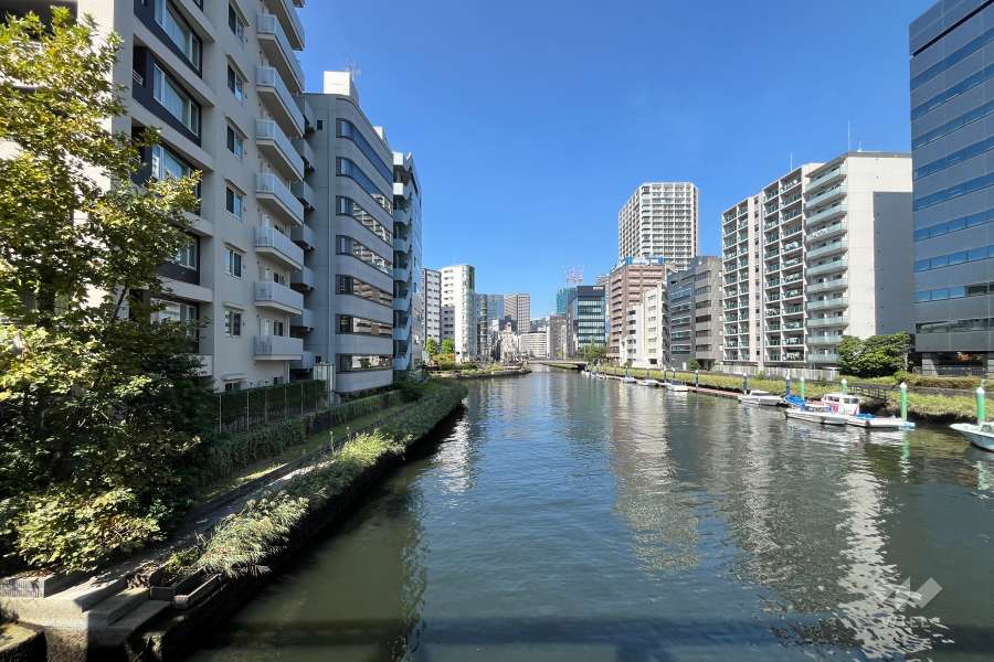 敷地の東側は亀島川が流れています。