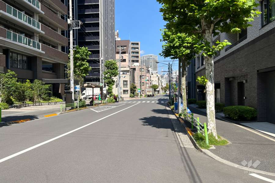 敷地の西側前面道路（南側から）