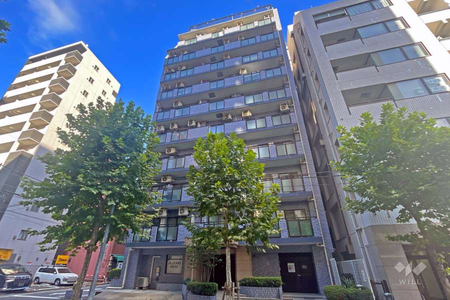 セザールスカイタワー銀座東の外観（南西側から）