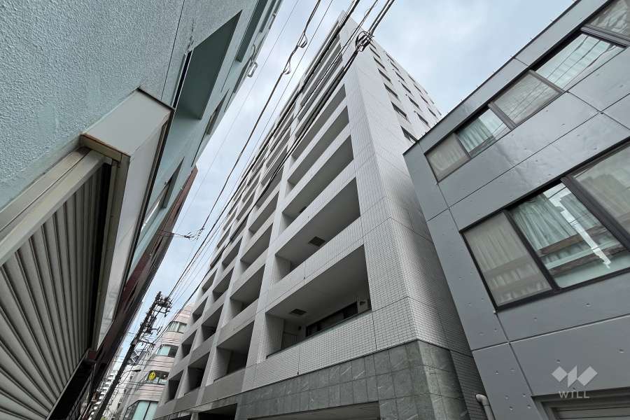 プレシス東京湊ザレジデンスの外観（南東側から）