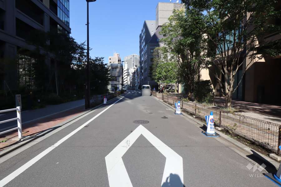 敷地東側の前面道路(南側から)