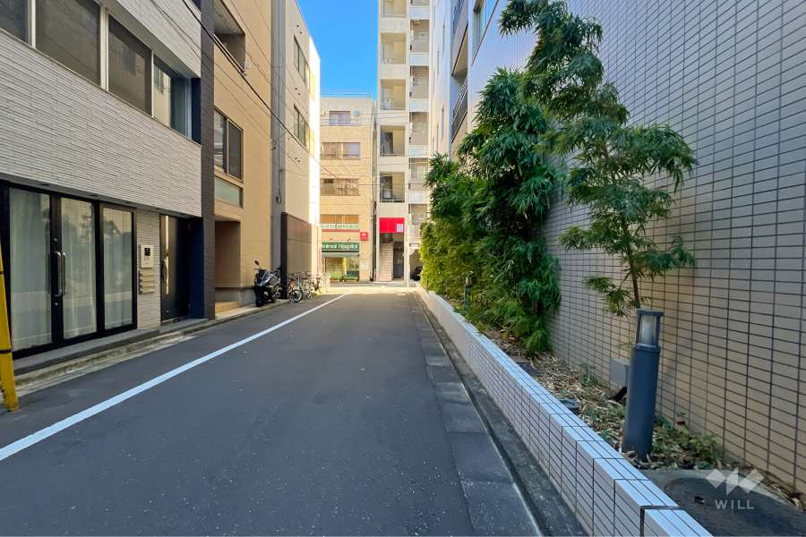 敷地の北東側前面道路（北西側から）