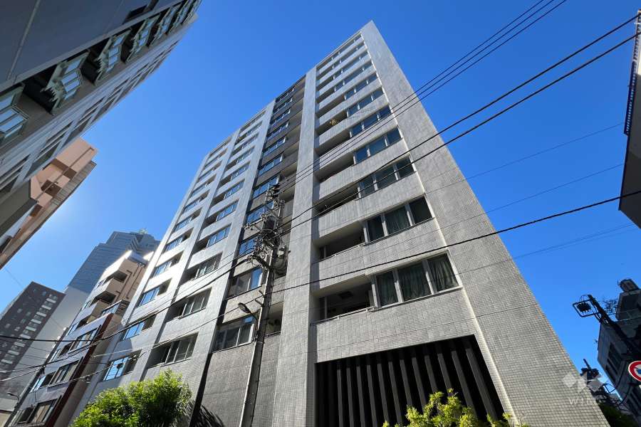 パークホームズセントラルシティ中央区湊の外観（東側から）