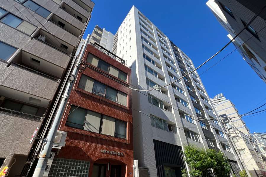 パークホームズセントラルシティ中央区湊の外観（南東側から）