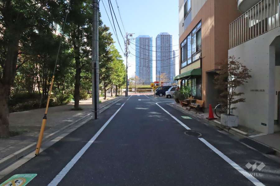 敷地南側の前面道路(西側から)